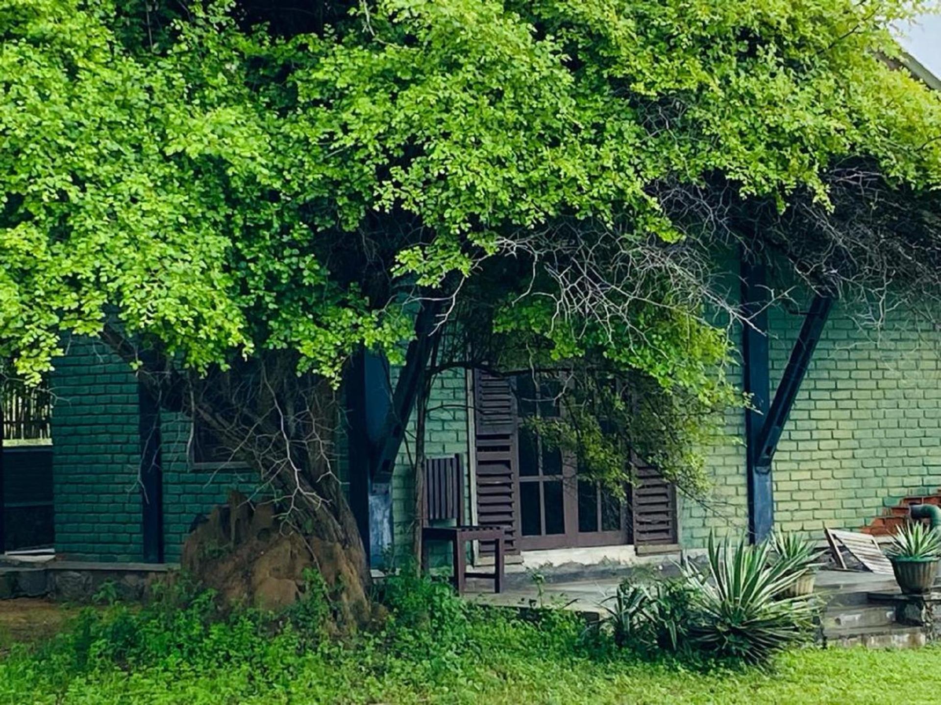 Yala Ying Yang Hostel & Camping Екстер'єр фото